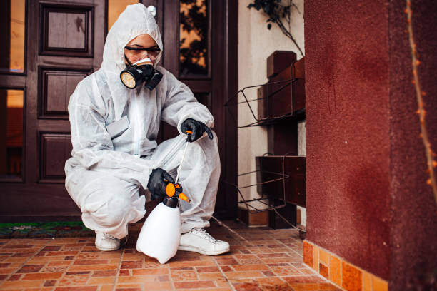 Reliable Bed Bug Control contractor in Craigsville, WV by Nex Pest Control