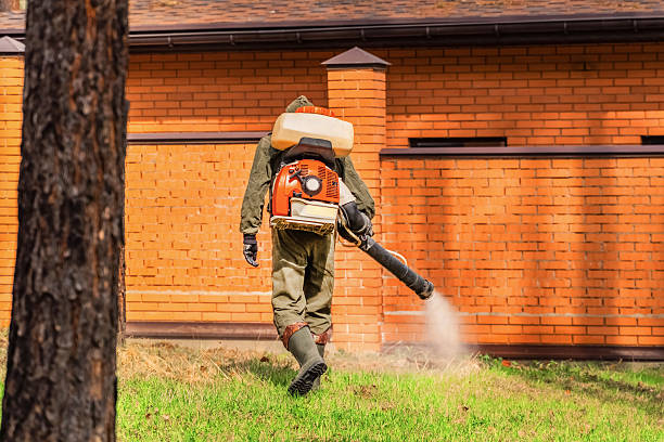 Trusted Rodent Control service in Craigsville, WV - Nex Pest Control